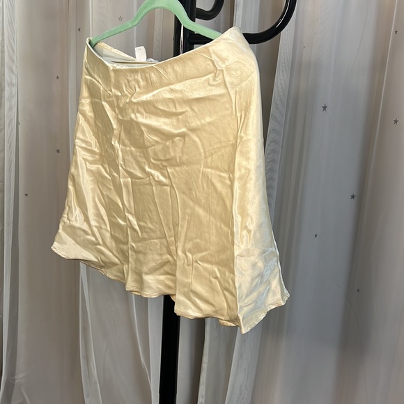 Satin Skirt - Picture 3 of 3